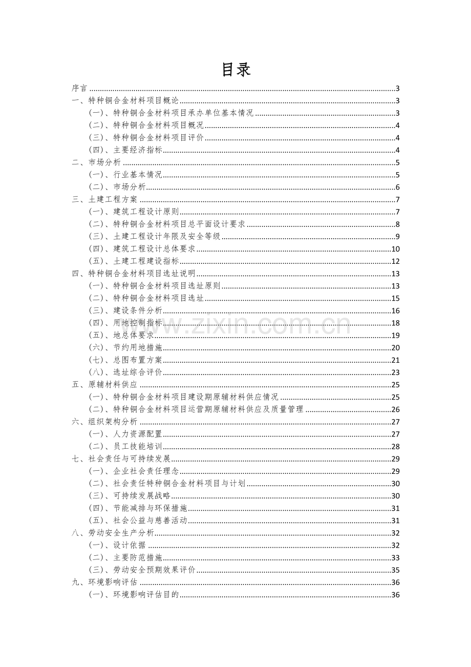 特种铜合金材料项目可行性研究报告.docx_第2页