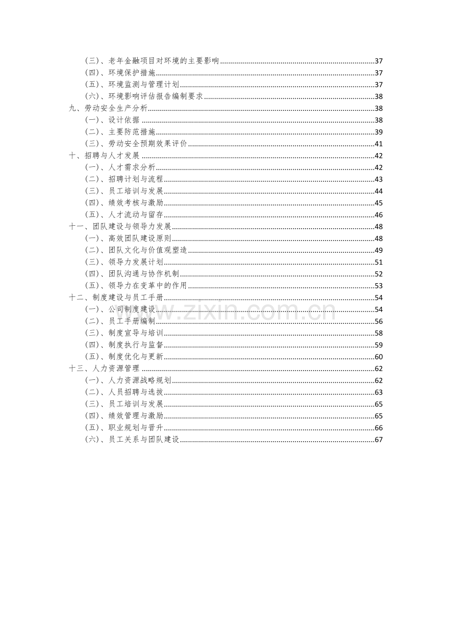 老年金融项目创业计划书.docx_第3页