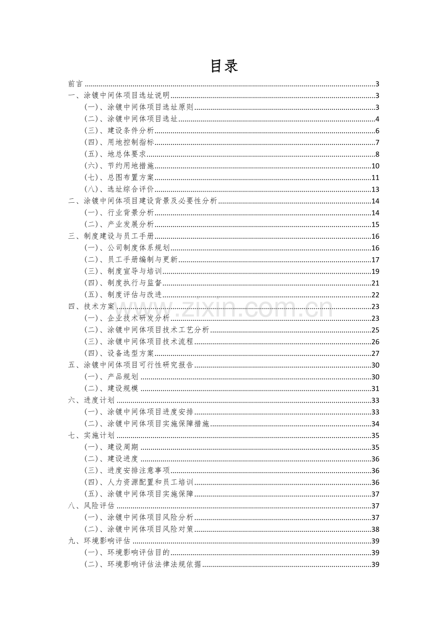 涂镀中间体项目可行性分析报告.docx_第2页