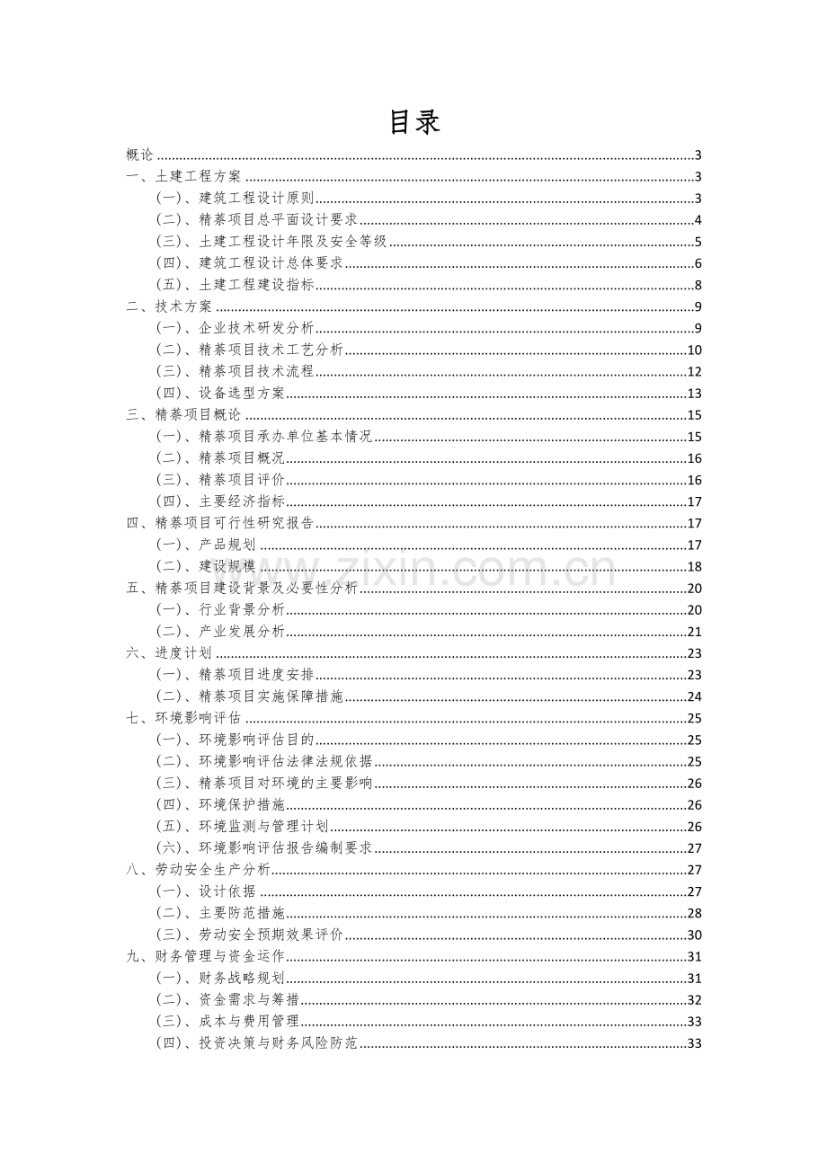 精萘项目可行性研究报告.docx_第2页