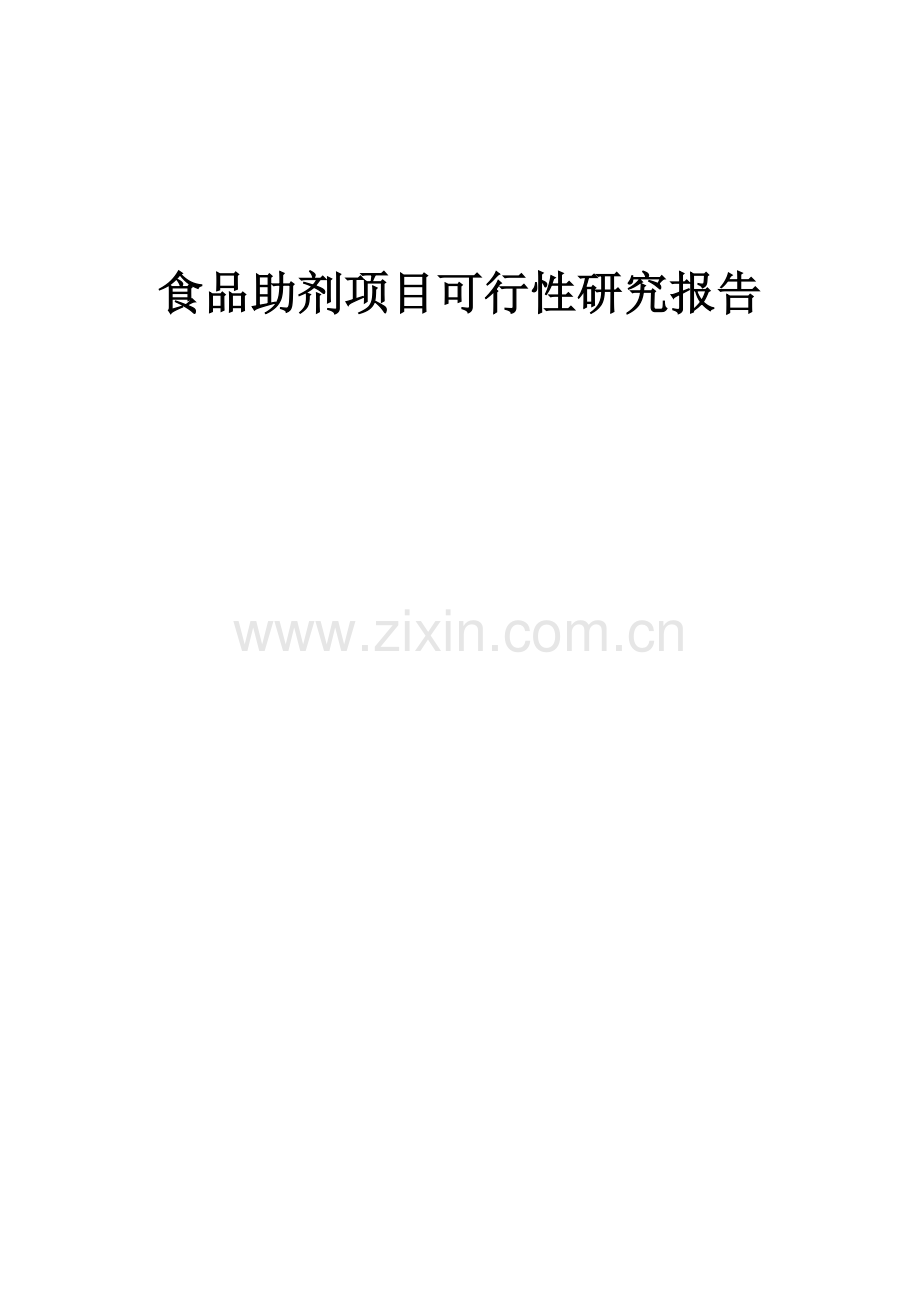 食品助剂项目可行性研究报告.docx_第1页