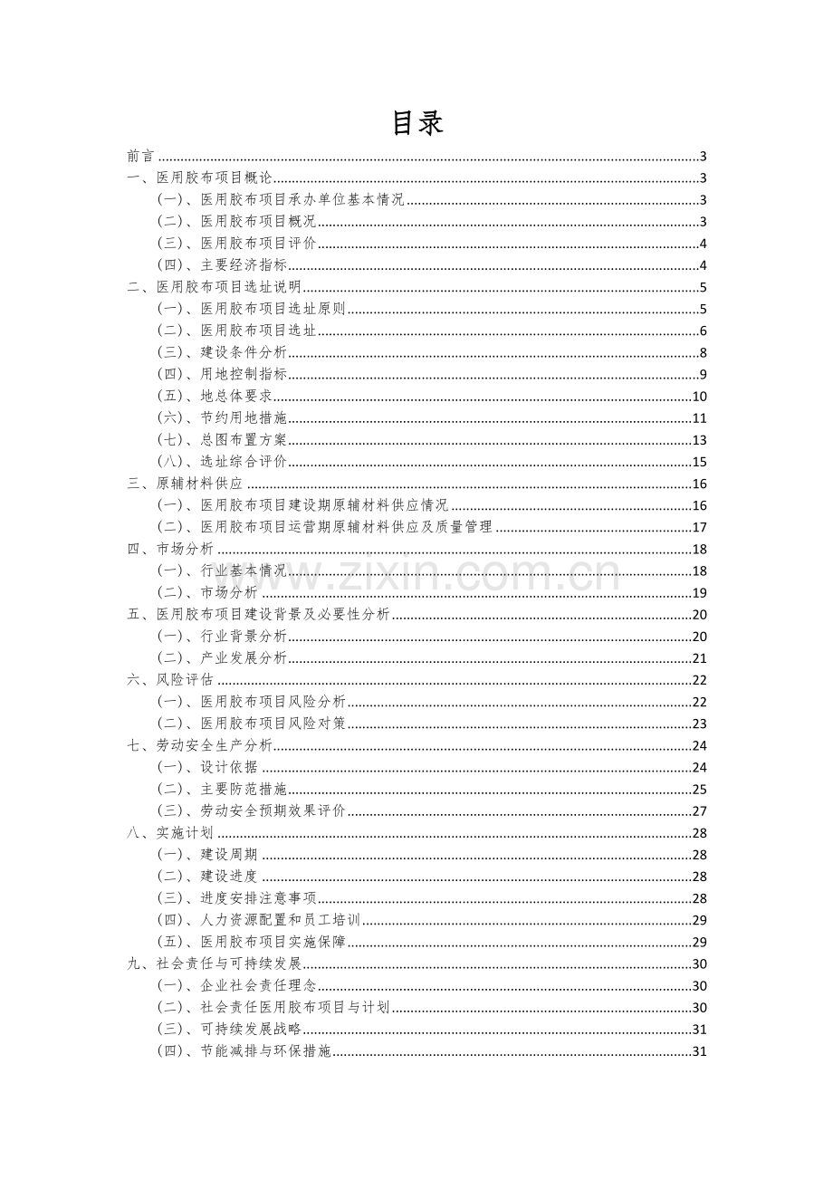 医用胶布项目可行性分析报告.docx_第2页