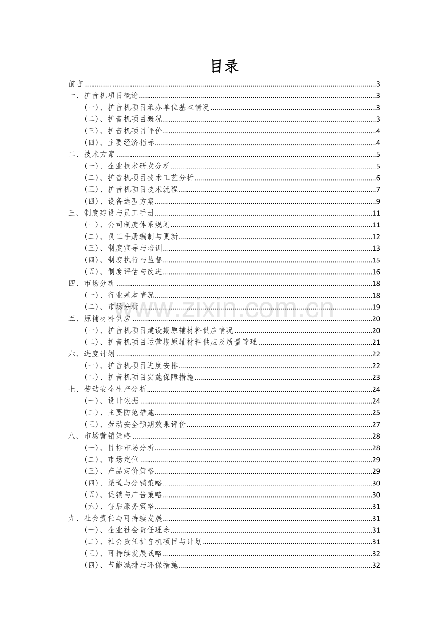 扩音机项目可行性分析报告.docx_第2页