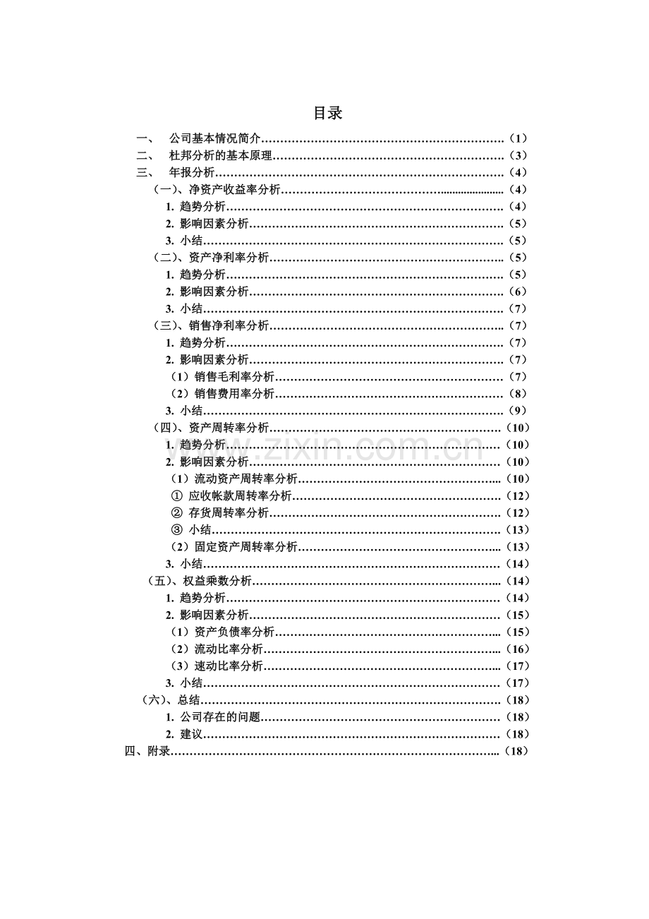 某某电器股份公司财务报表分析( 19).docx_第1页