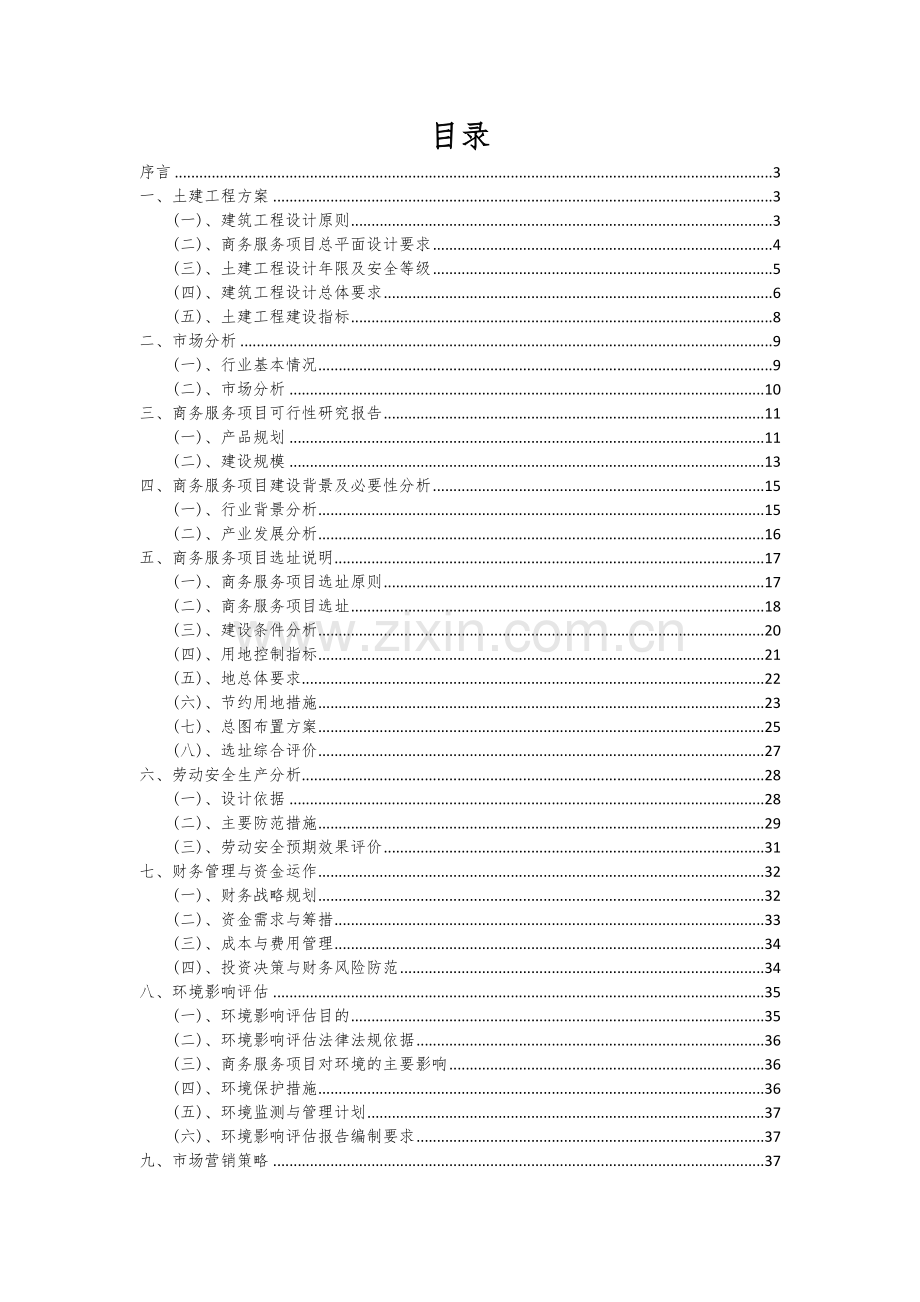 2024年商务服务项目可行性分析报告.docx_第2页