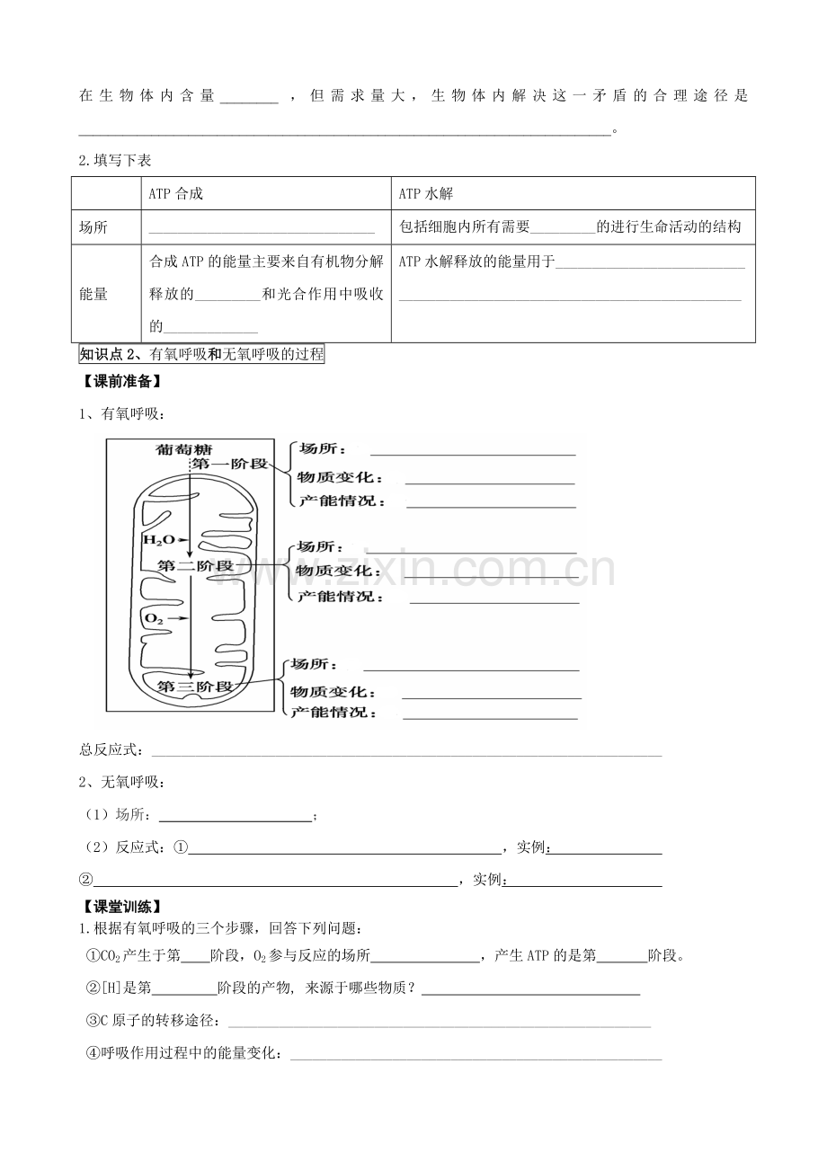 第9讲细胞呼吸.docx_第2页