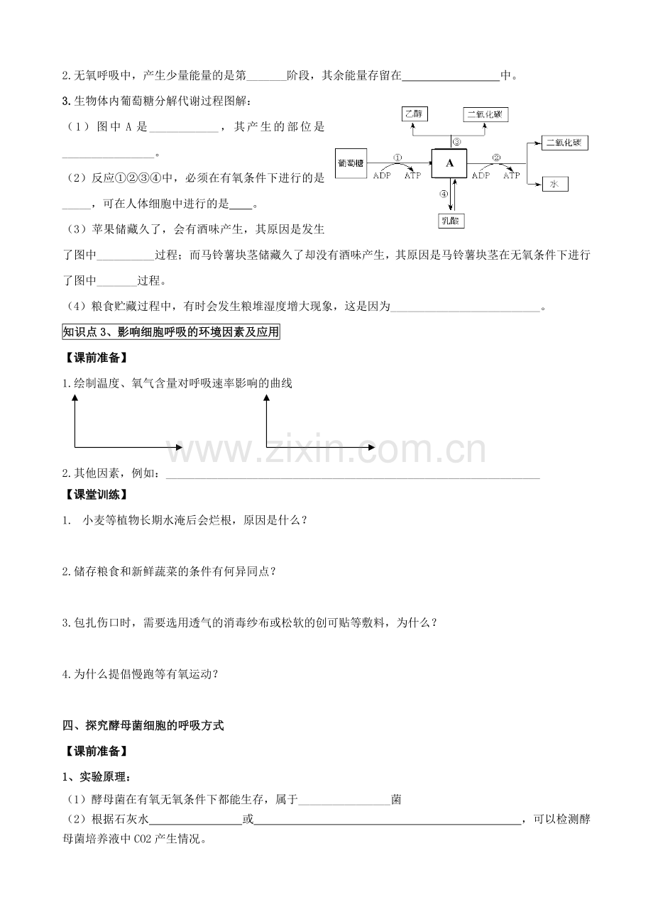 第9讲细胞呼吸.docx_第3页