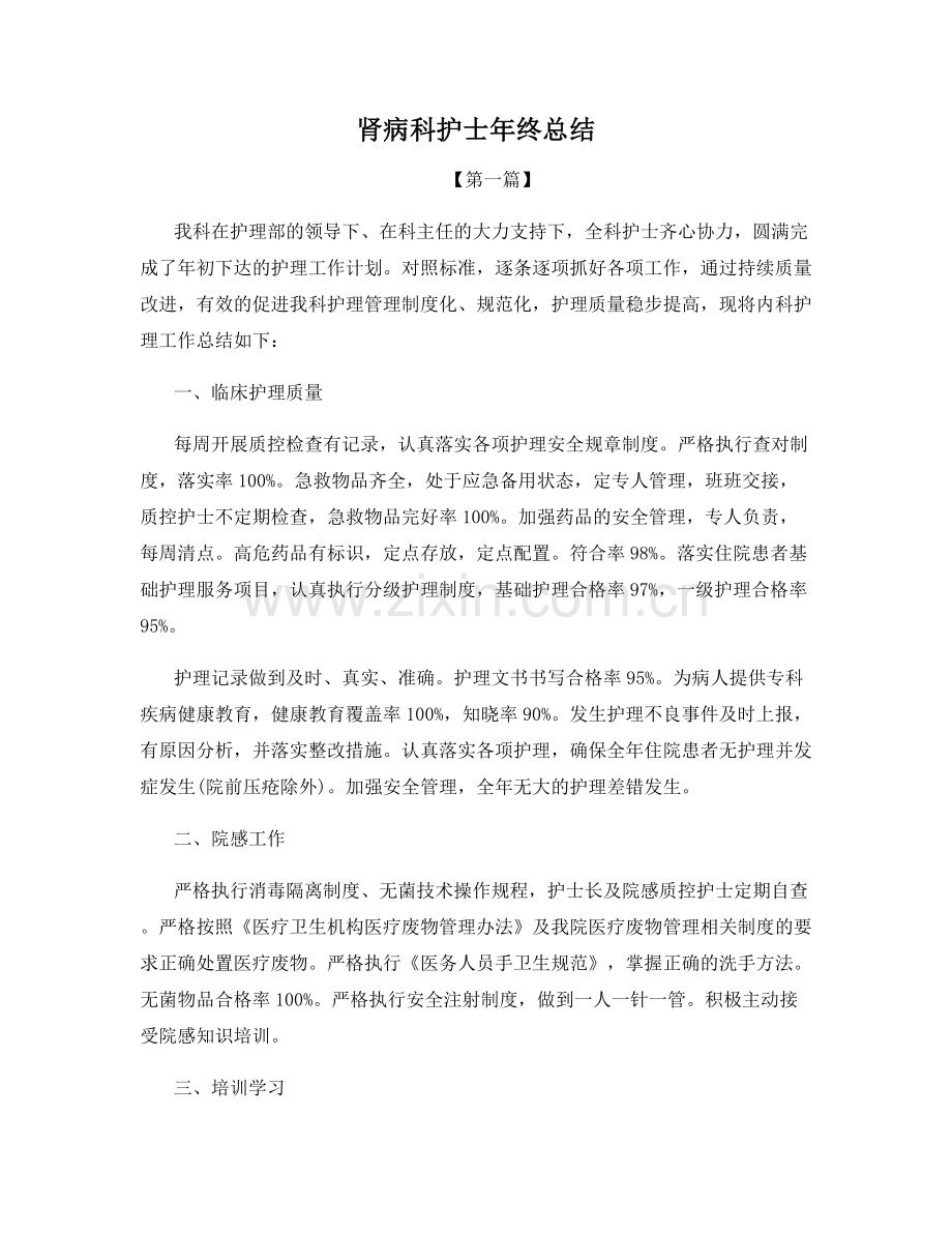 肾病科护士年终总结.docx_第1页