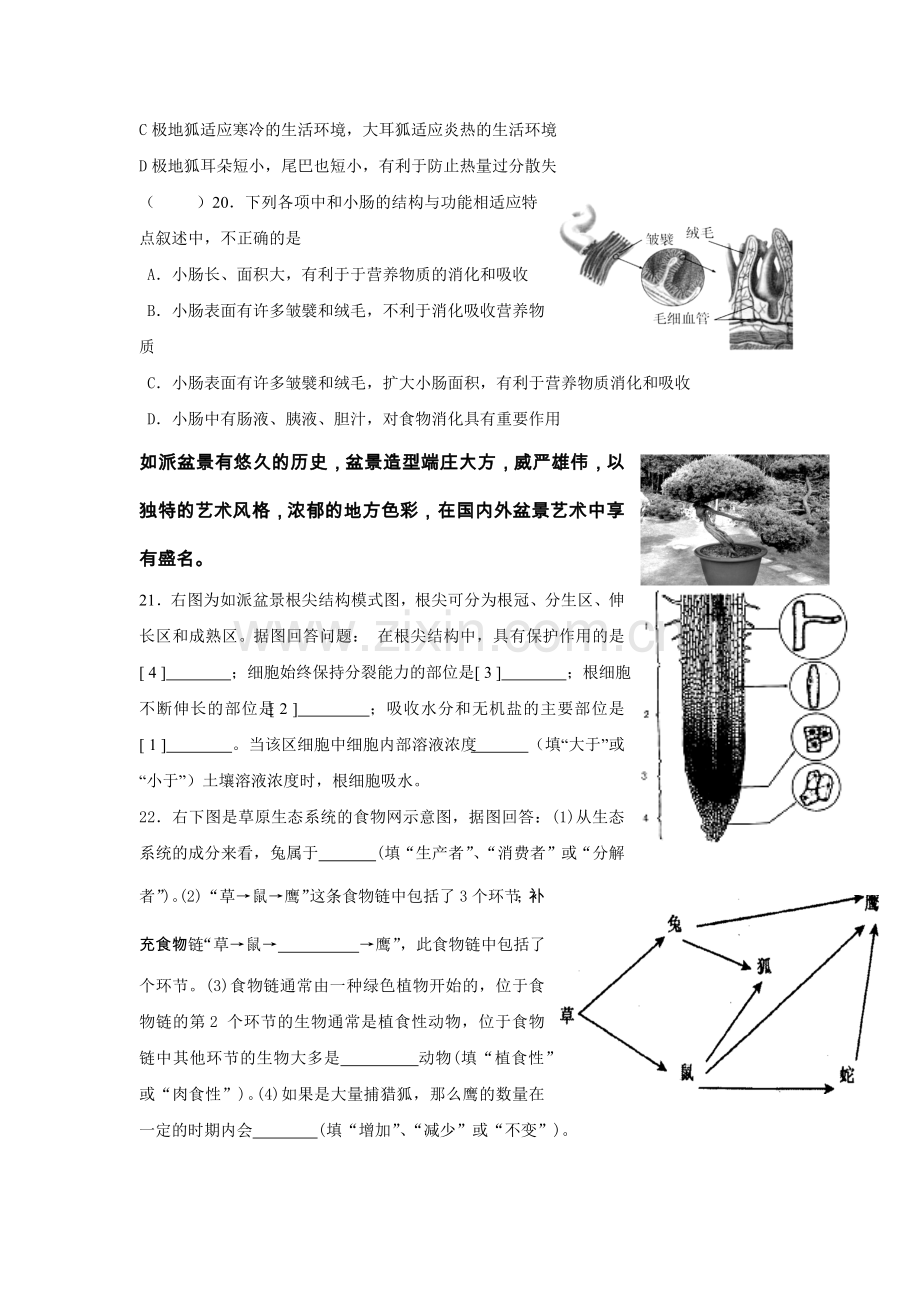 七年级生物复习一.docx_第3页