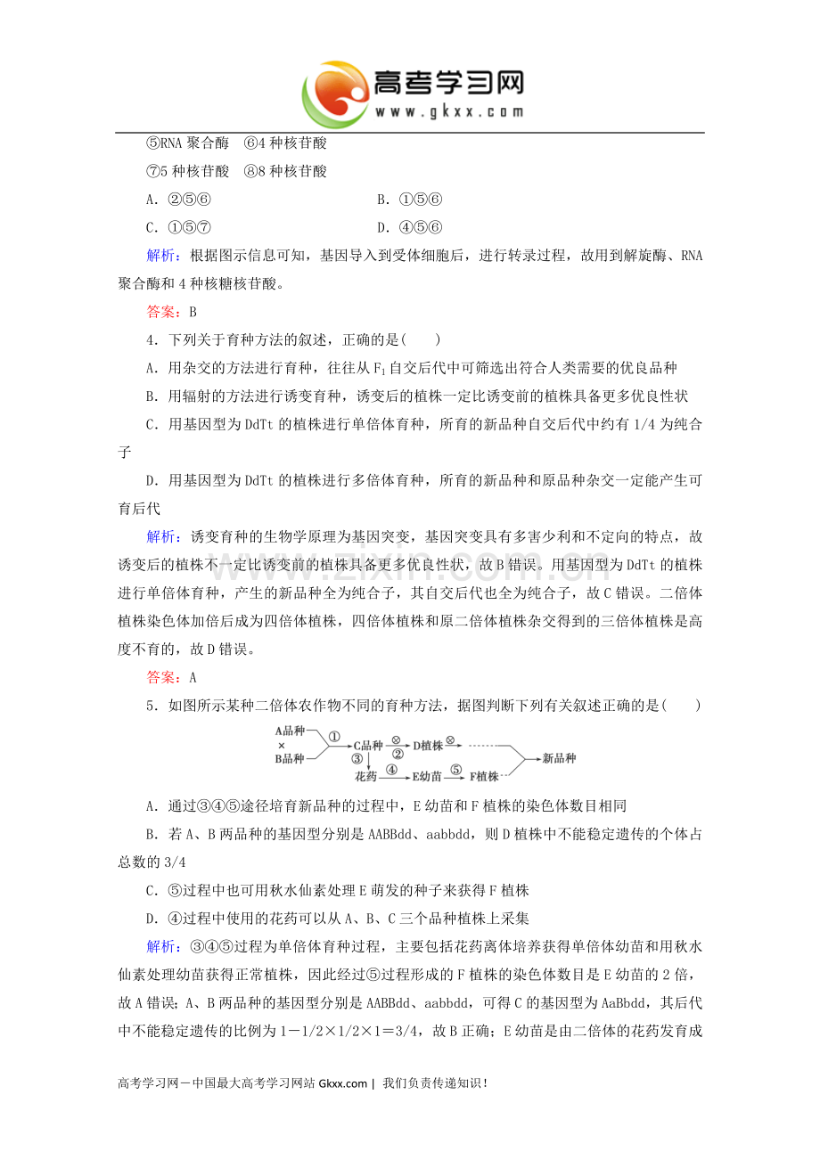 《现代生物进化理论的主要内容》.doc_第2页