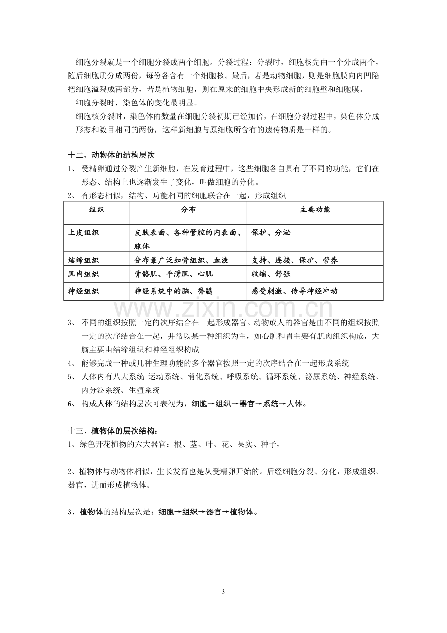 七年级生物上册_第二单元_生物体的结构层次知识点汇总.doc_第3页