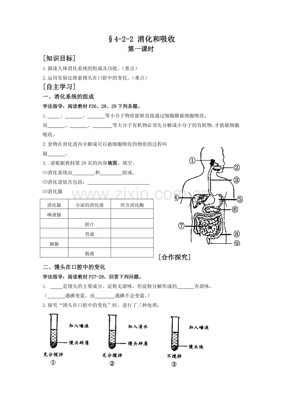 消化吸收导学案.docx_第1页