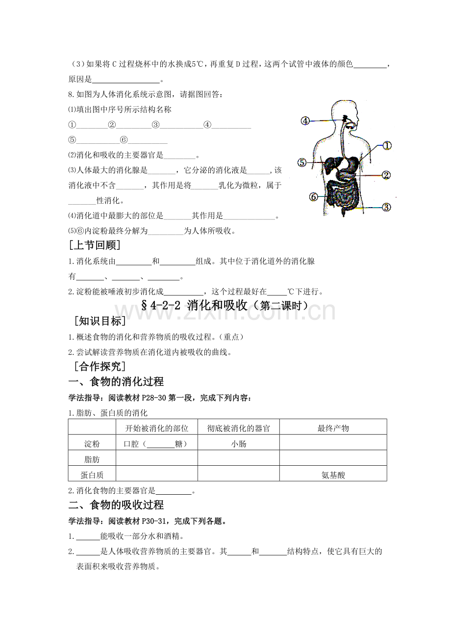 消化吸收导学案.docx_第3页