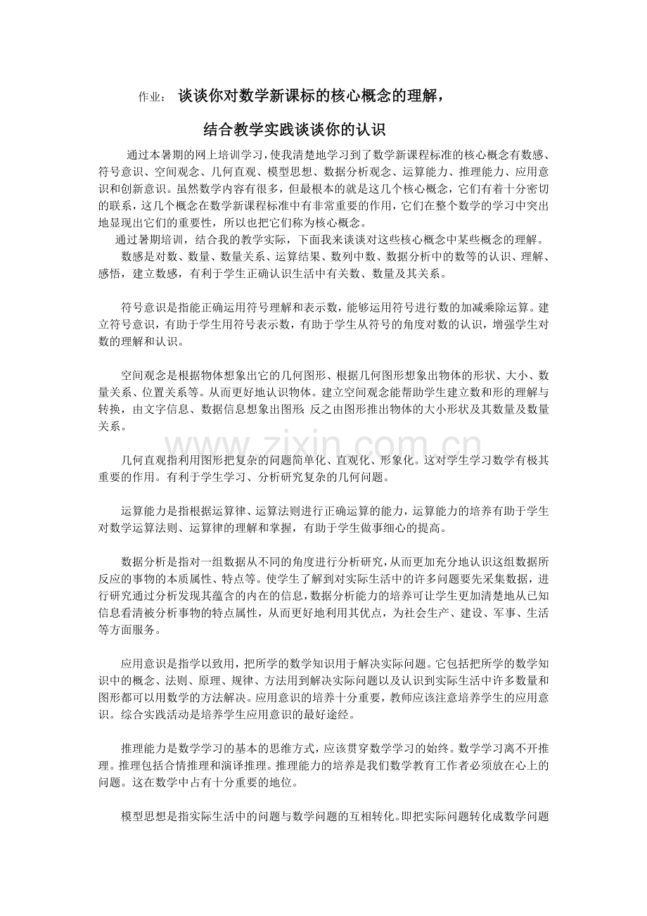 作业：谈谈你对数学新课标的核心概念的理解.doc_第1页