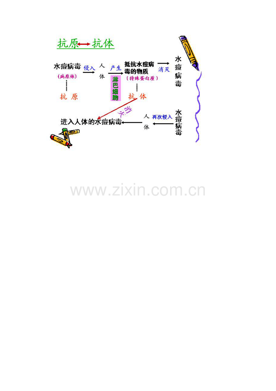 生物知识结构图.doc_第1页