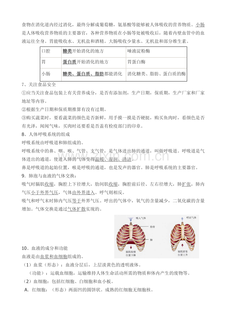 七年级下册生物总复习.doc_第2页