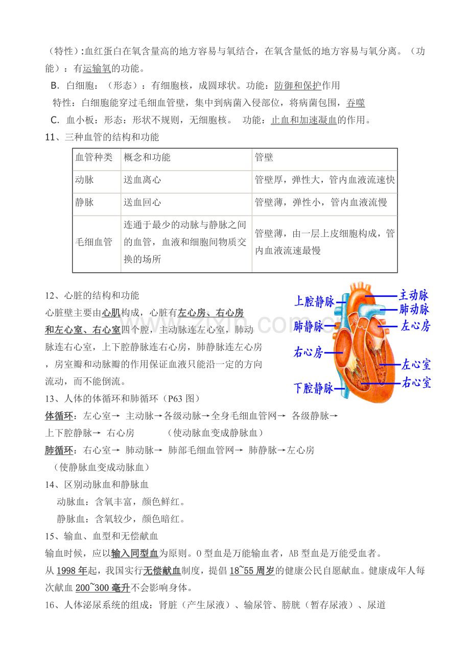 七年级下册生物总复习.doc_第3页