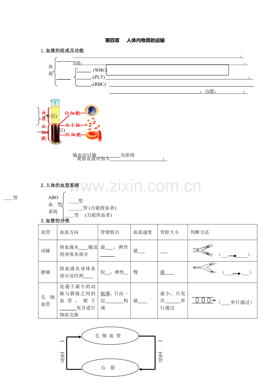 《第四章人体内物质的运输》知识点总结.doc_第1页