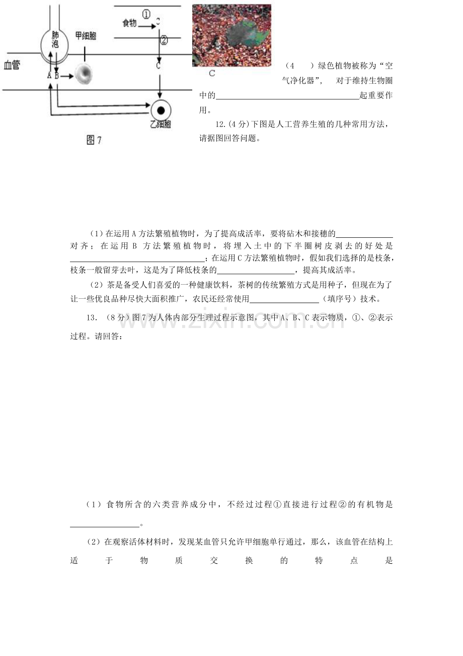 生物中考模拟试题.doc_第3页