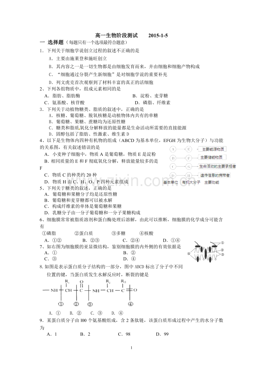 高一生物阶段测试.doc_第1页