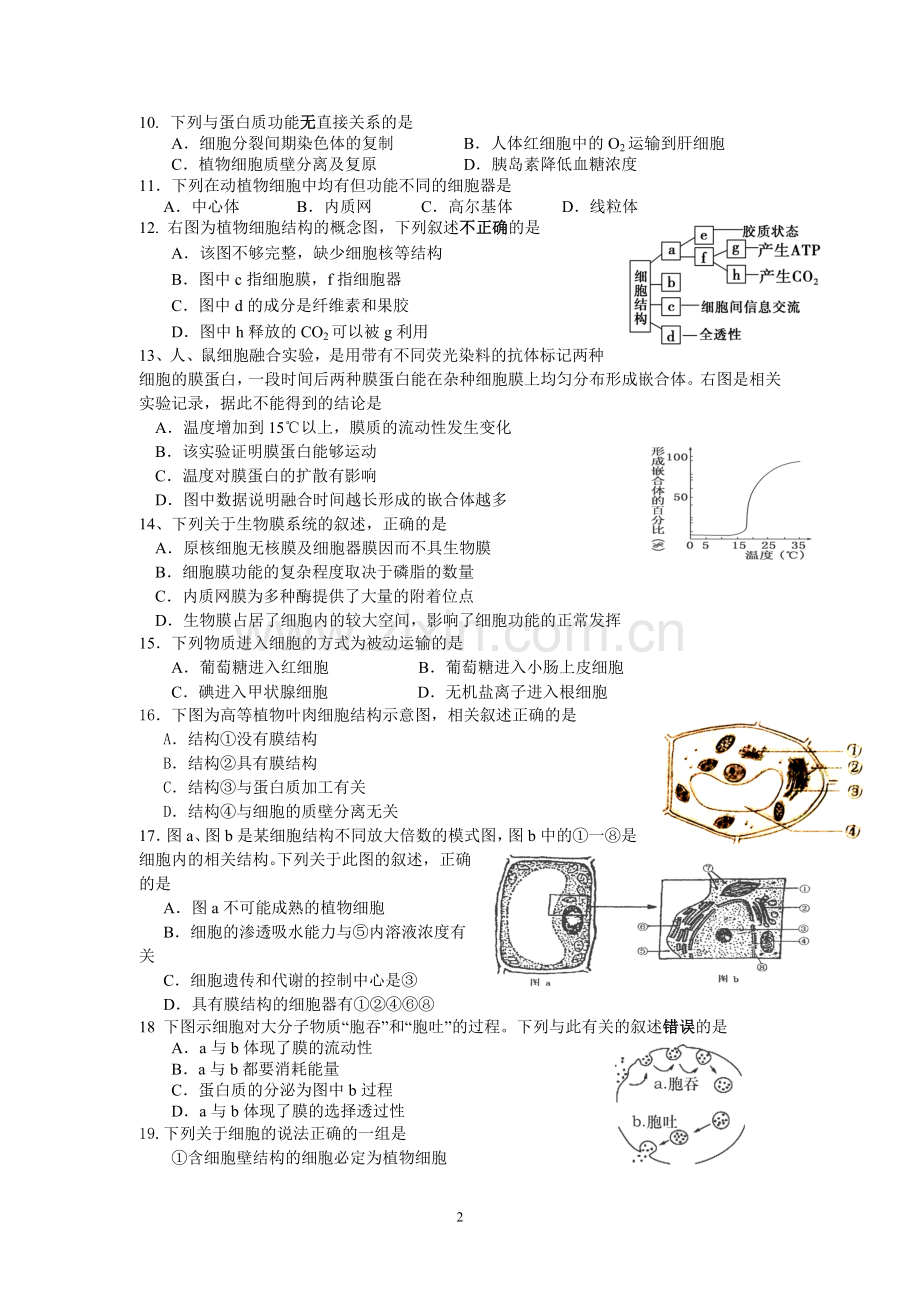 高一生物阶段测试.doc_第2页