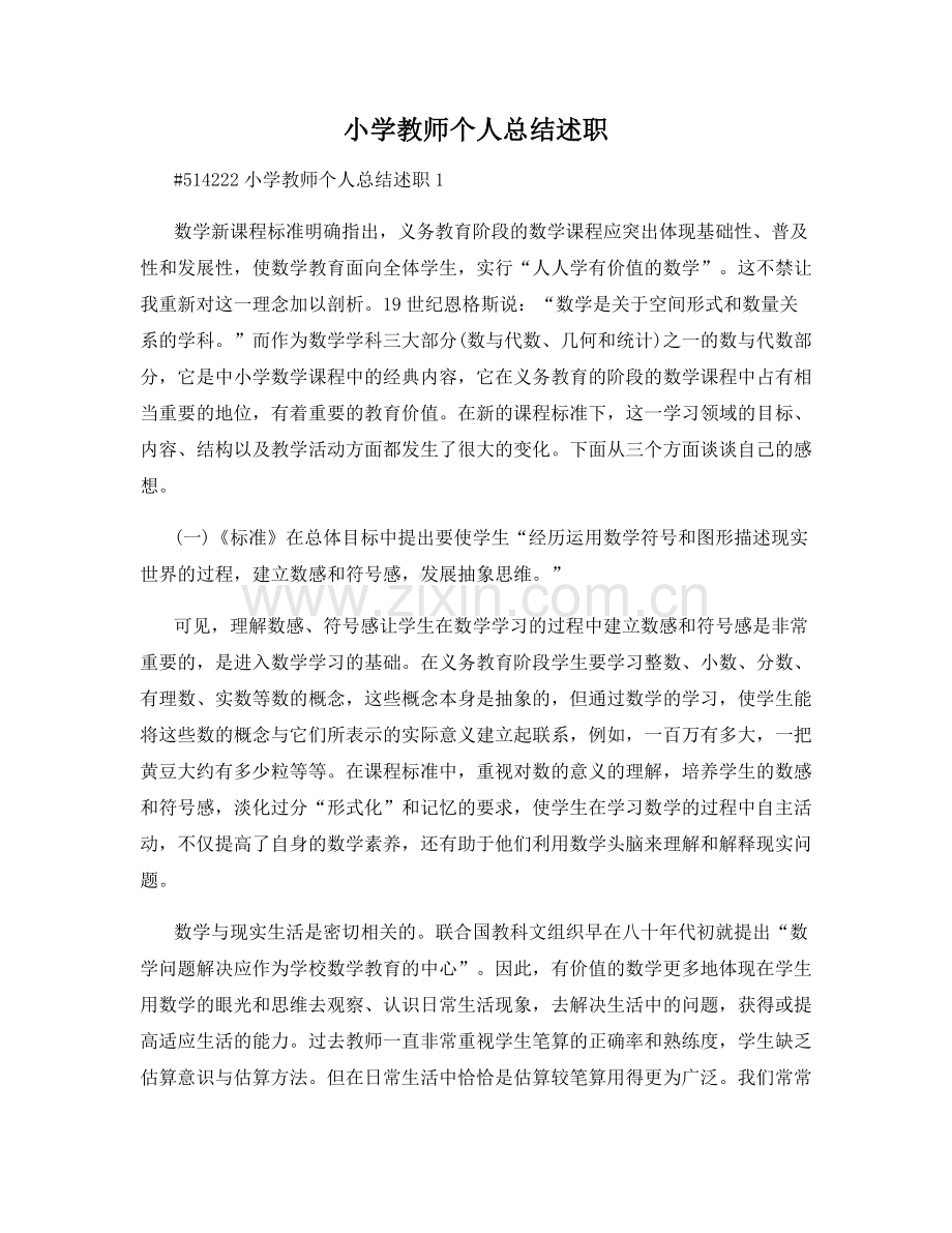 小学教师个人总结述职.docx_第1页