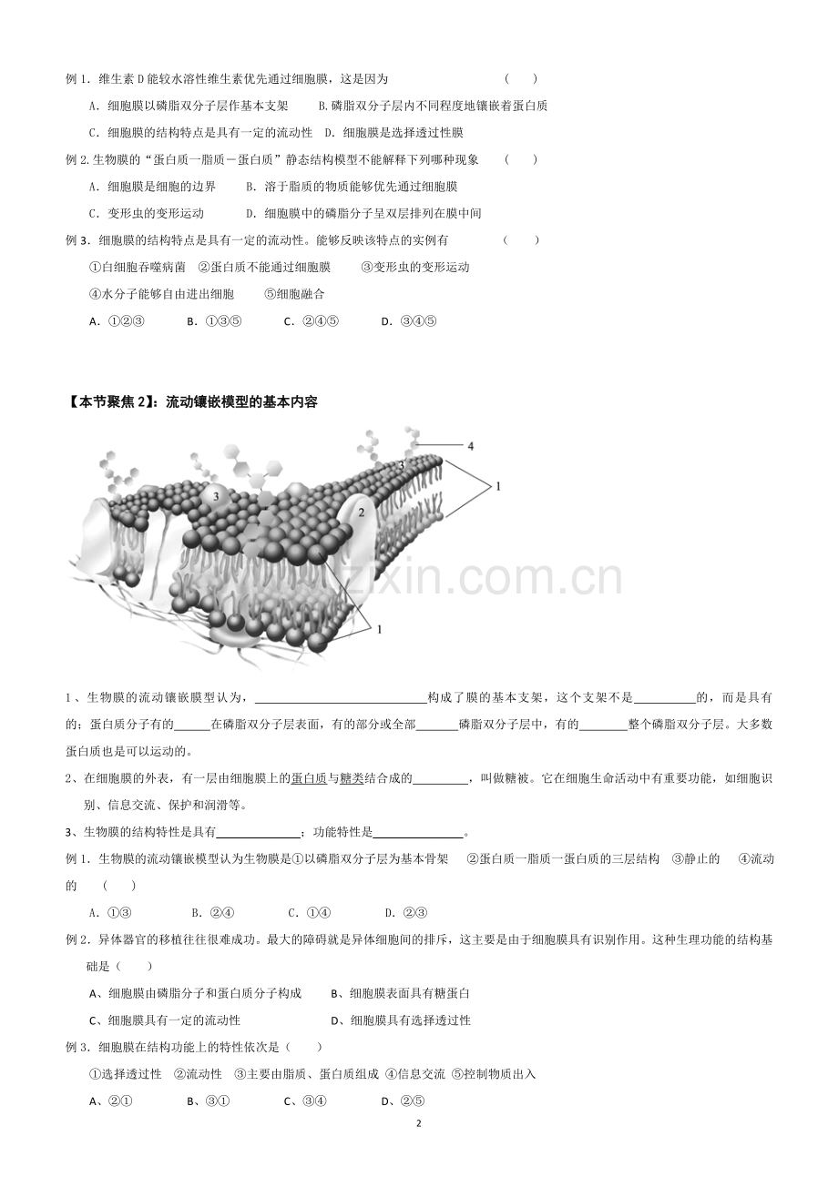 生物膜的流动镶嵌模型_导学案.doc_第2页