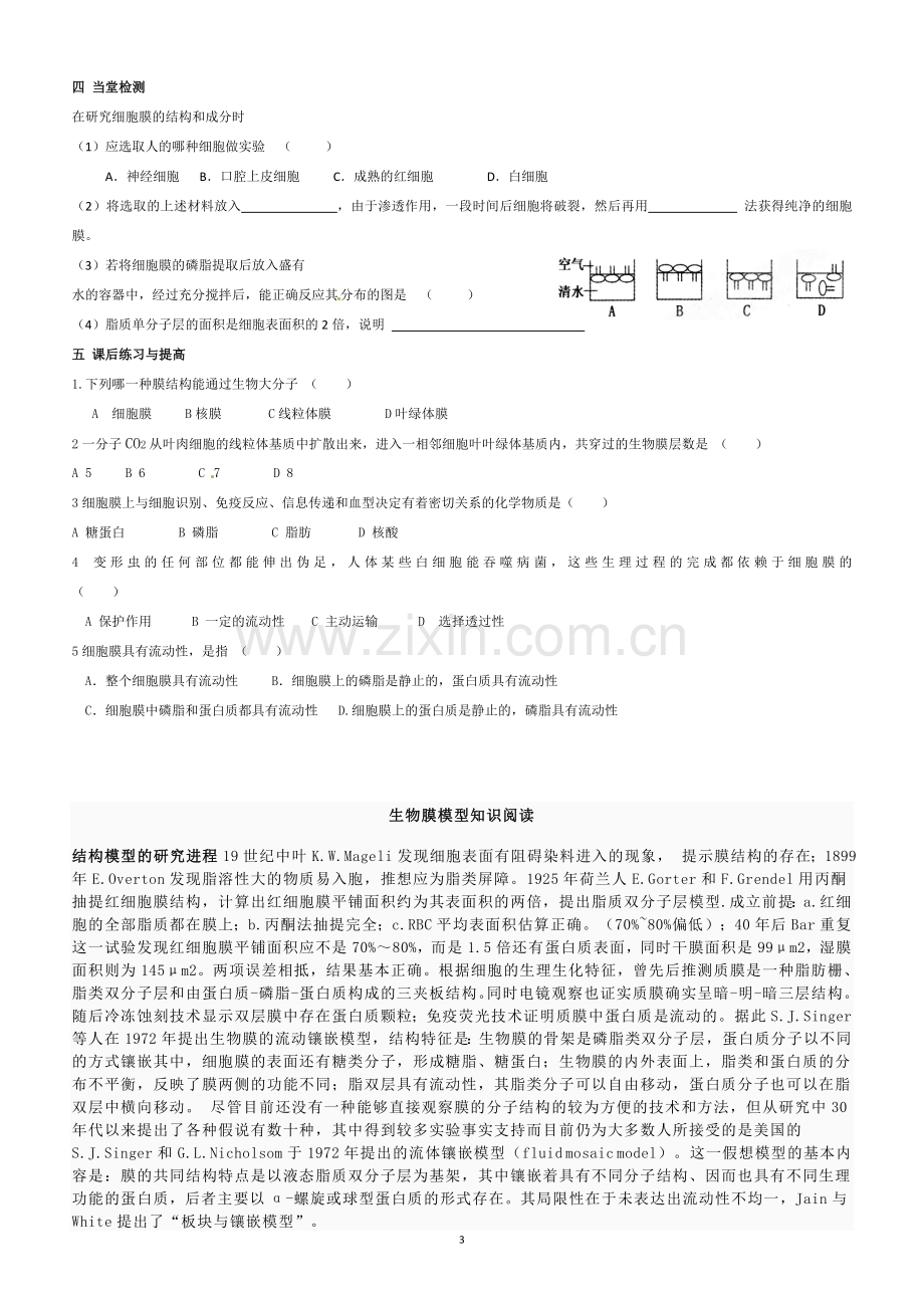 生物膜的流动镶嵌模型_导学案.doc_第3页