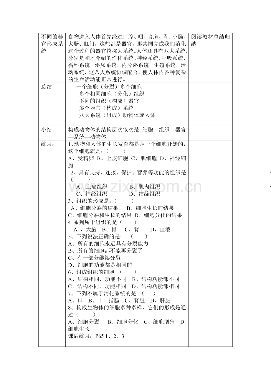 动物体的结构层次教学设计.doc_第2页