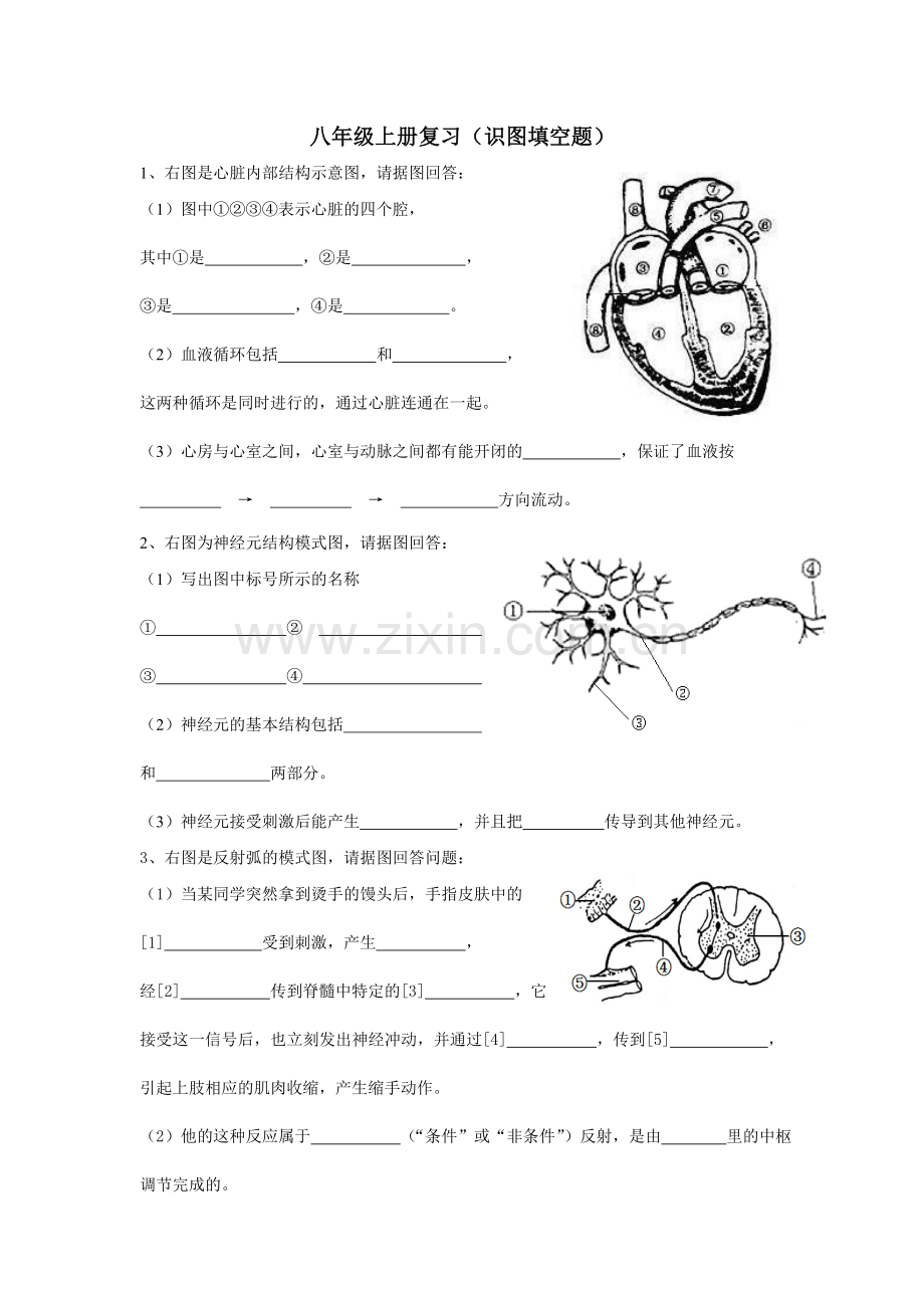 八年级上册复习（识图）.doc_第1页