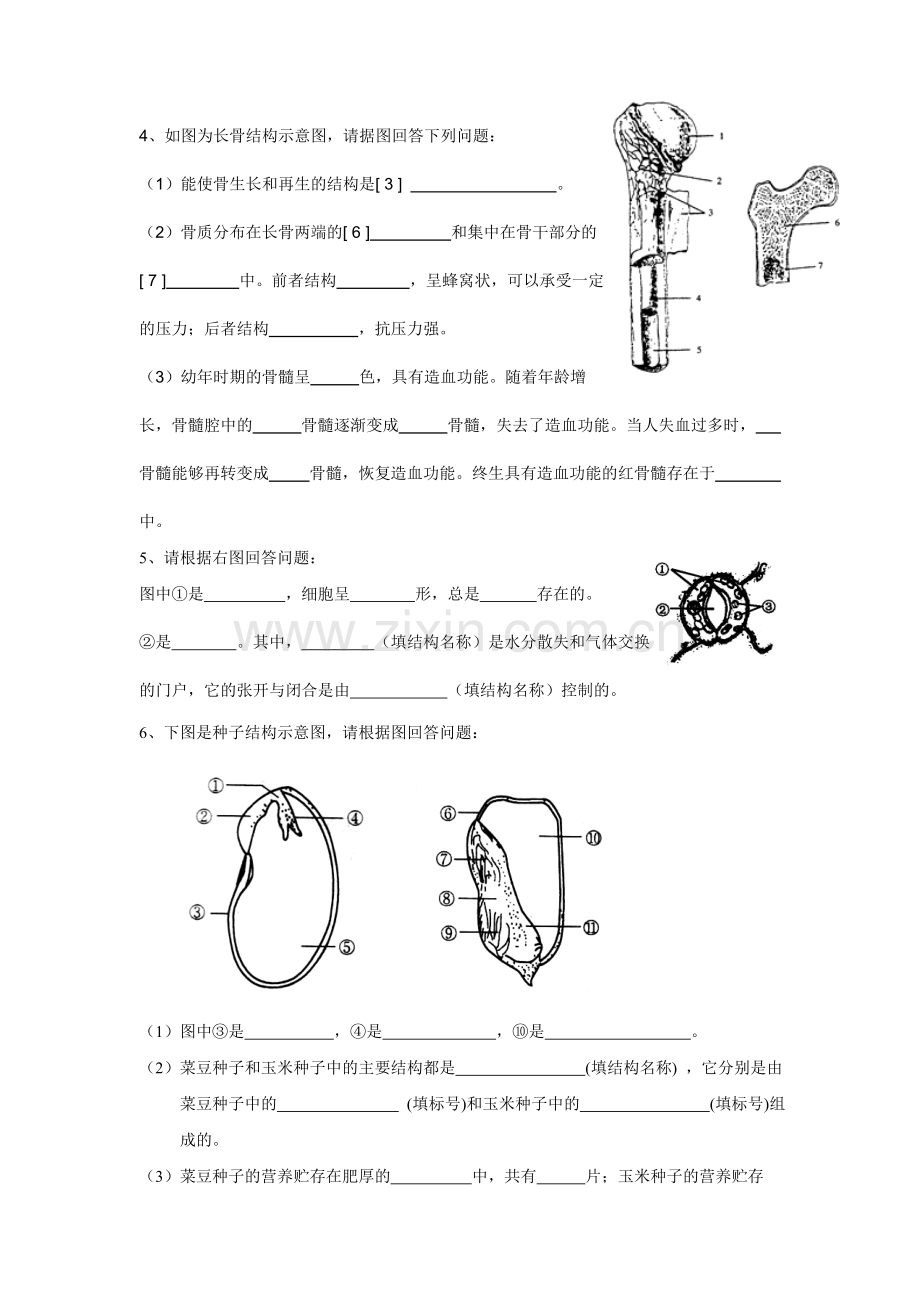 八年级上册复习（识图）.doc_第2页