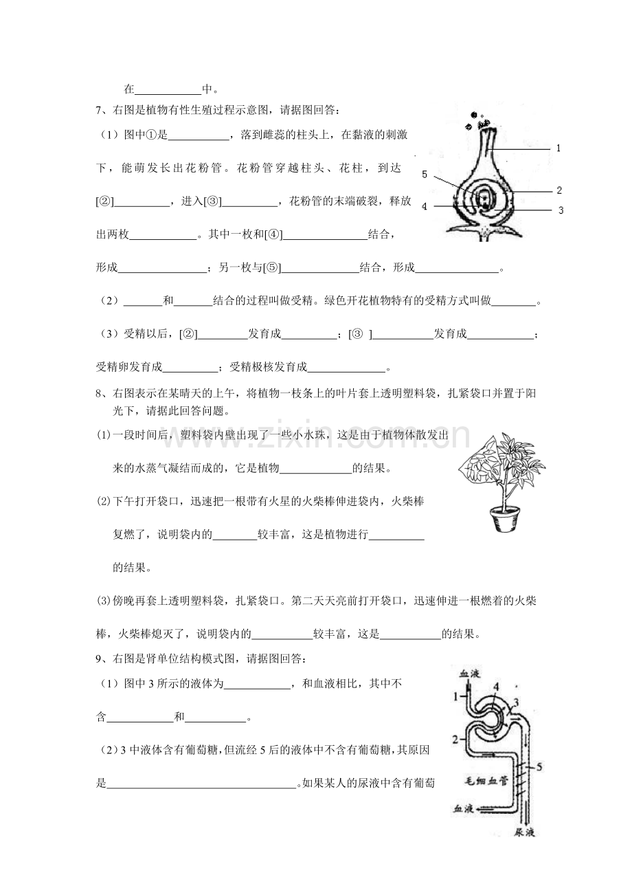 八年级上册复习（识图）.doc_第3页