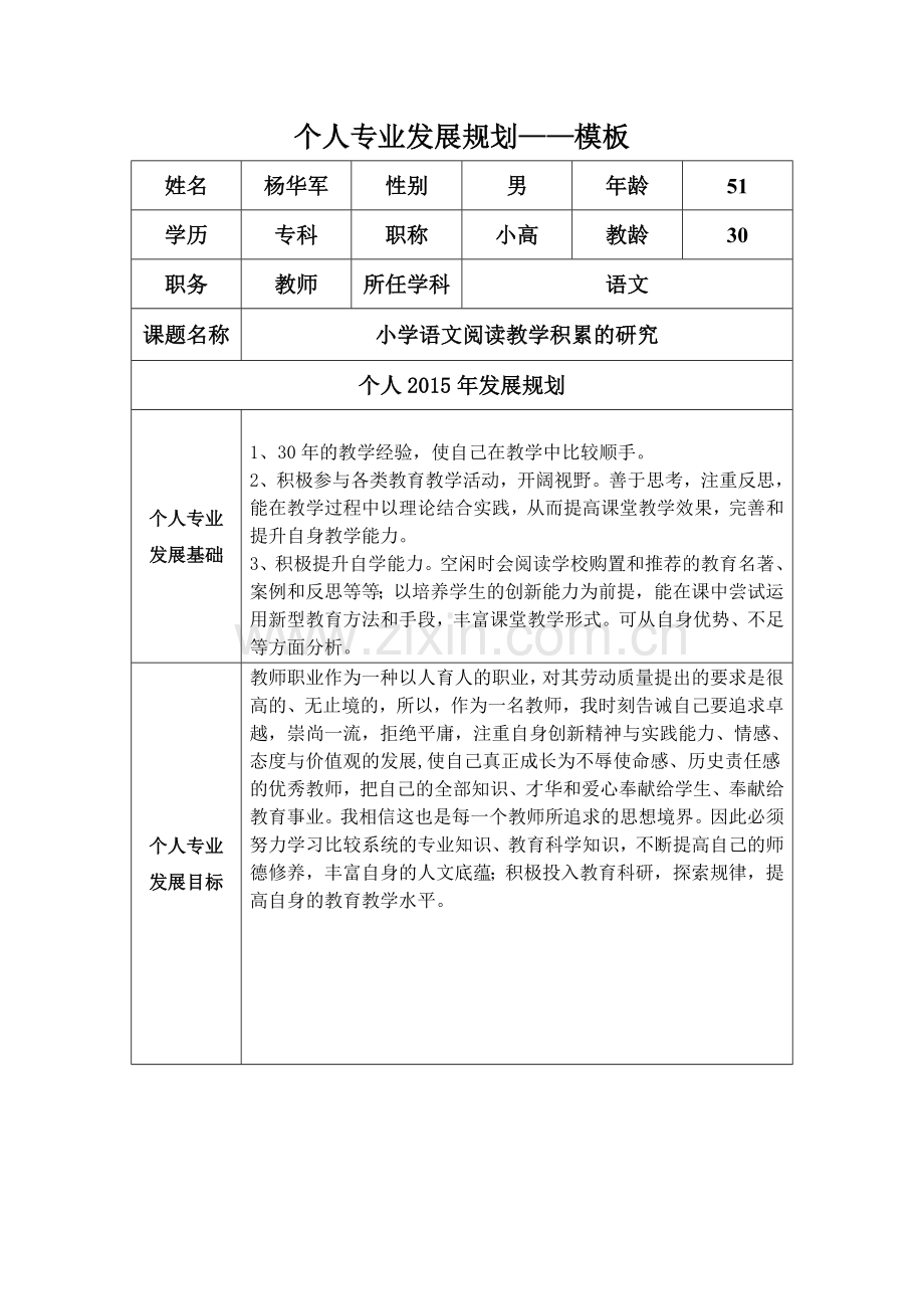 个人专业发展规划.docx_第1页