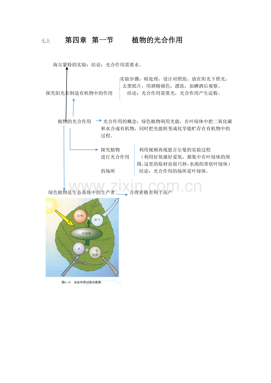 七上第四章第一节植物的光合作用.doc_第1页