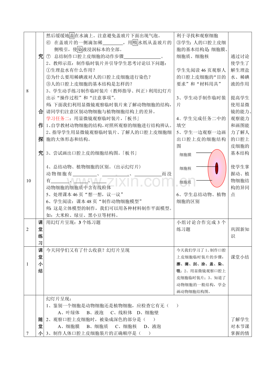 生物《动物细胞》教案设计MicrosoftWord文档.doc_第3页