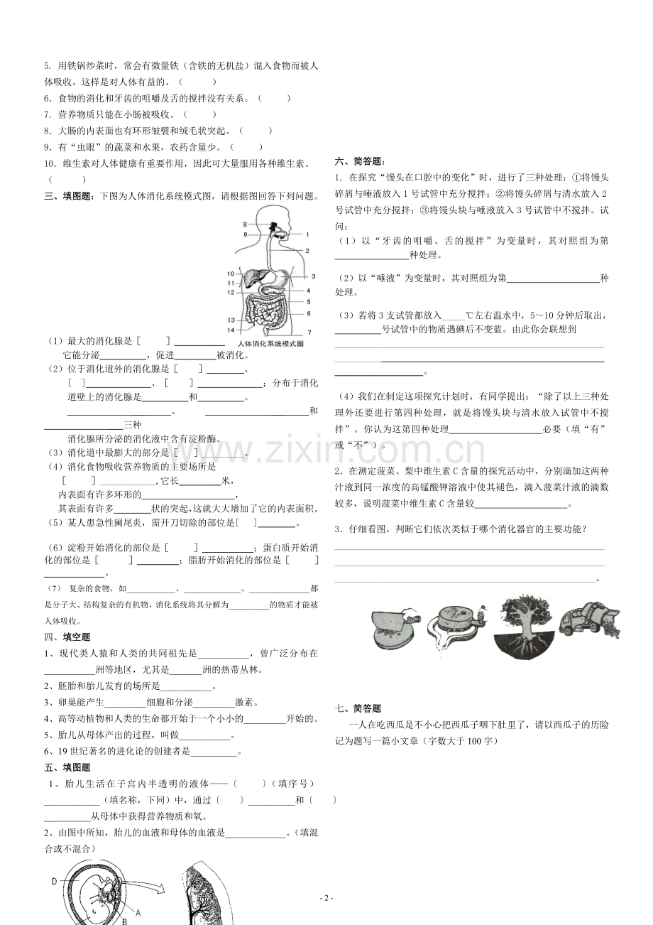 七年级生物学下册单元测试题.doc_第2页