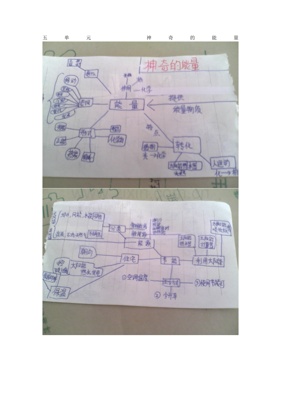 苏教版六年级科学下五单元.doc_第1页