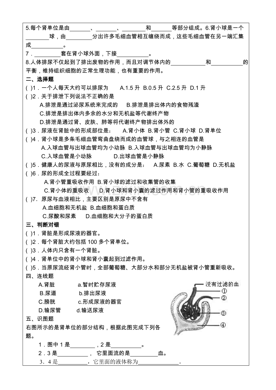 第五章_第一节尿的形成和排出导学案.doc_第2页