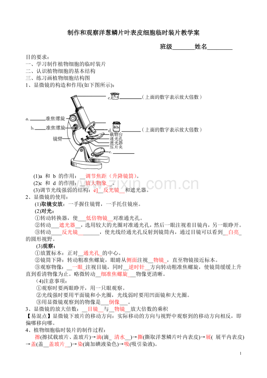 制作和观察洋葱鳞片叶表皮细胞临时装片教学案.doc_第1页