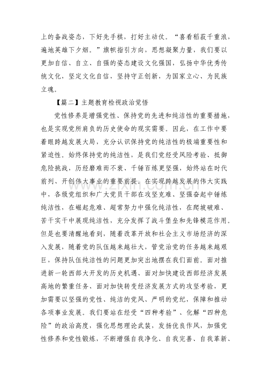 主题教育检视政治觉悟范文(6篇).pdf_第3页