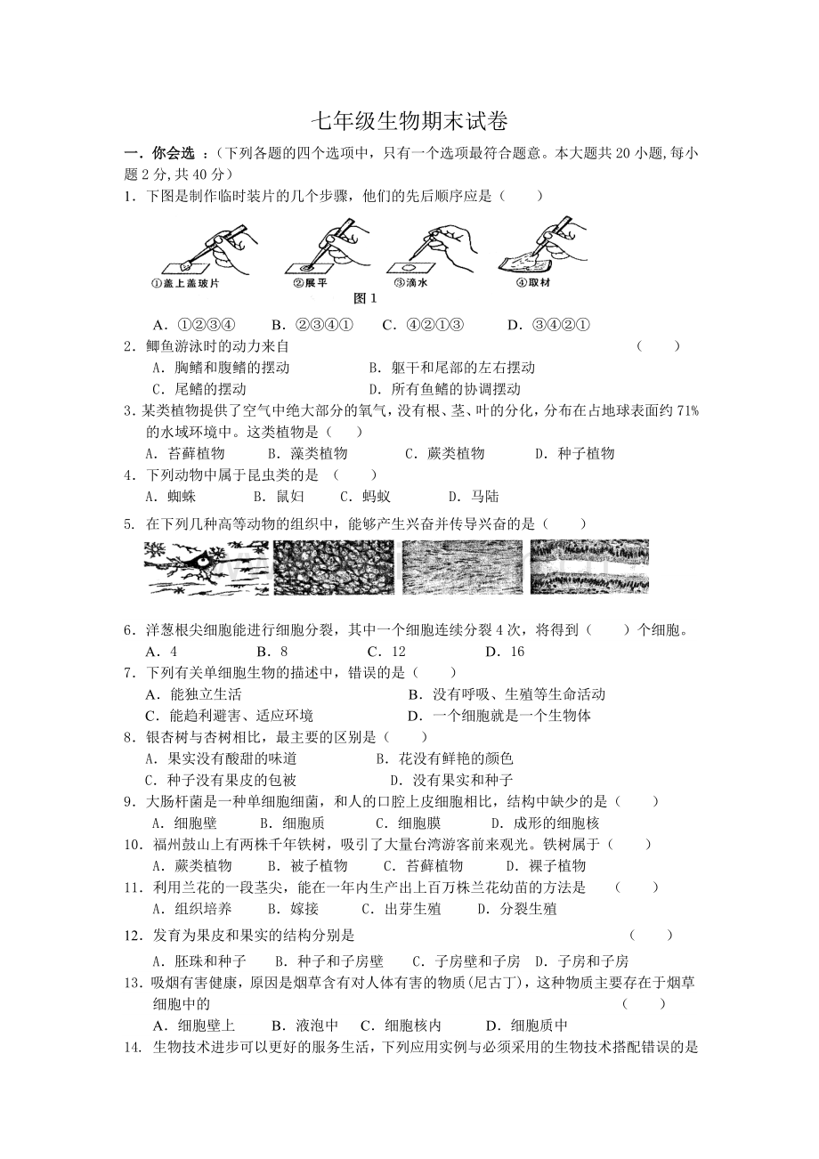 七年级生物期末试卷.doc_第1页