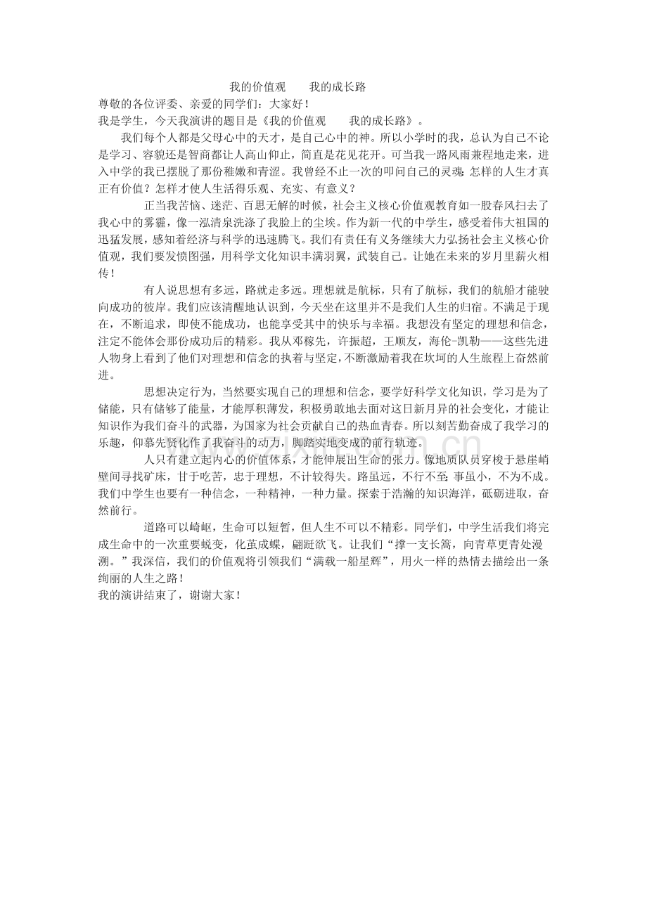 我的价值观我的成长路.docx_第1页