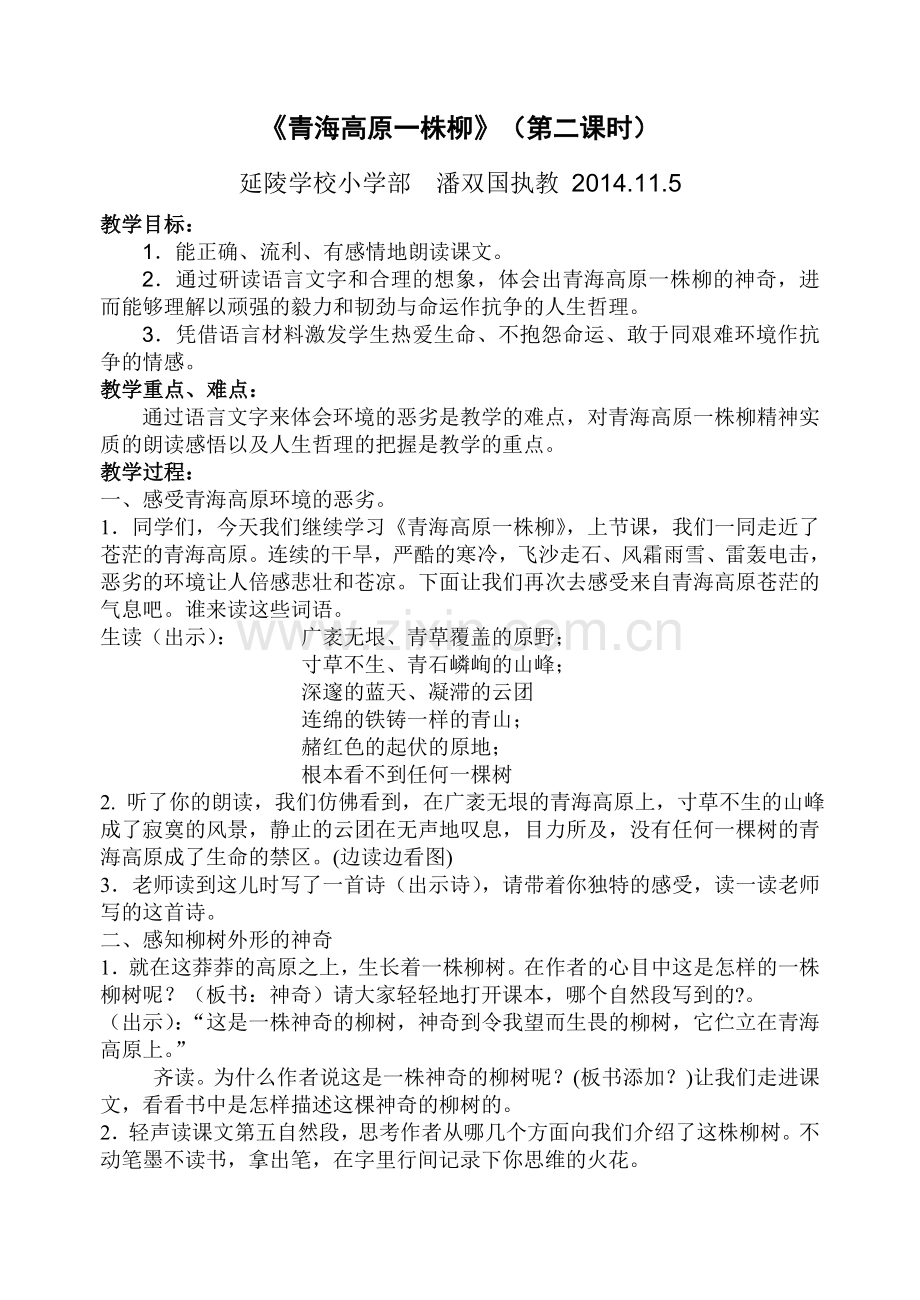 《青海高原一株柳》教案.doc_第1页