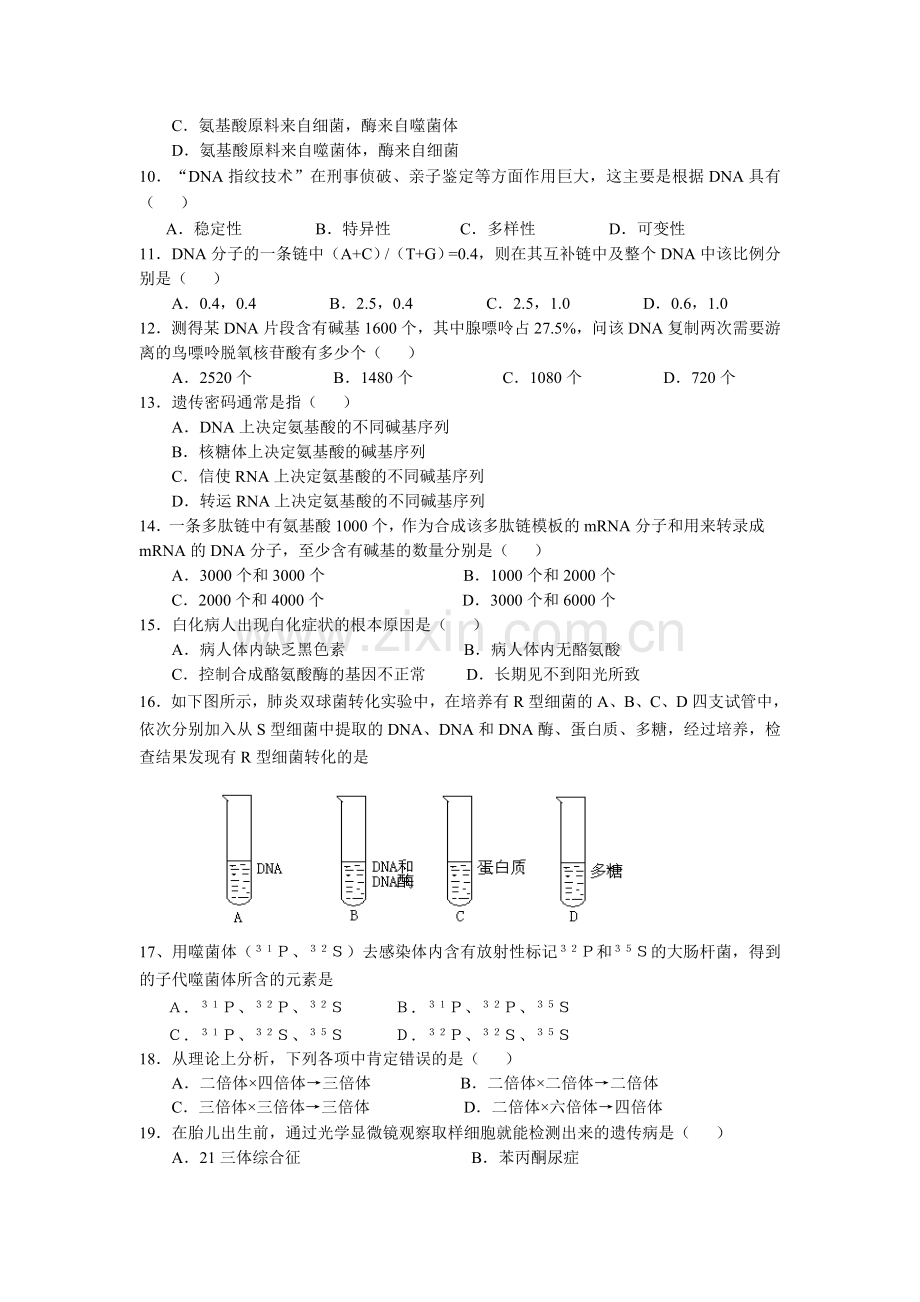 高一生物必修二期末模拟试题及答案.doc_第2页