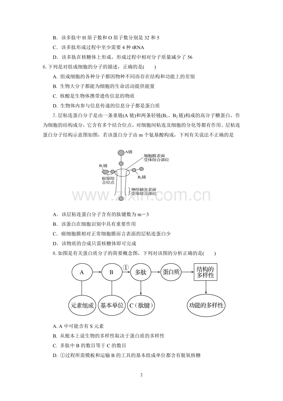 高二生物期末训练一.doc_第2页