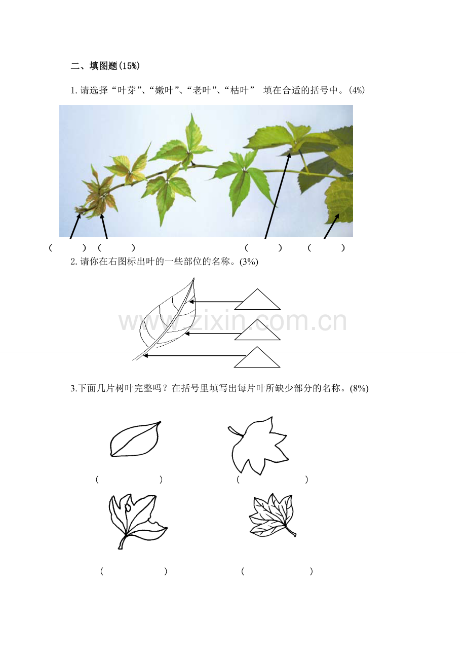 三上科学第一单元练习卷.doc_第3页