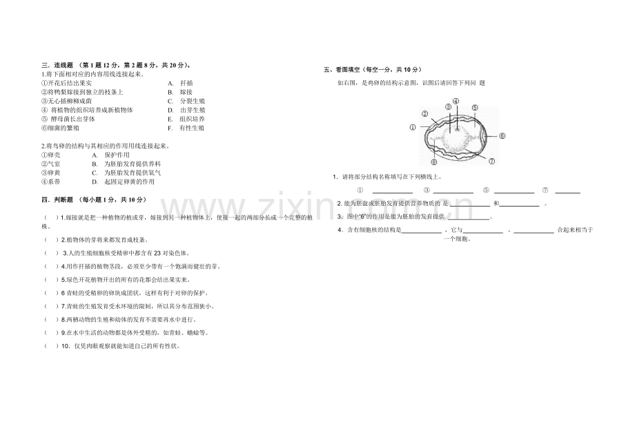 八年级生物竞赛测试题.doc_第2页