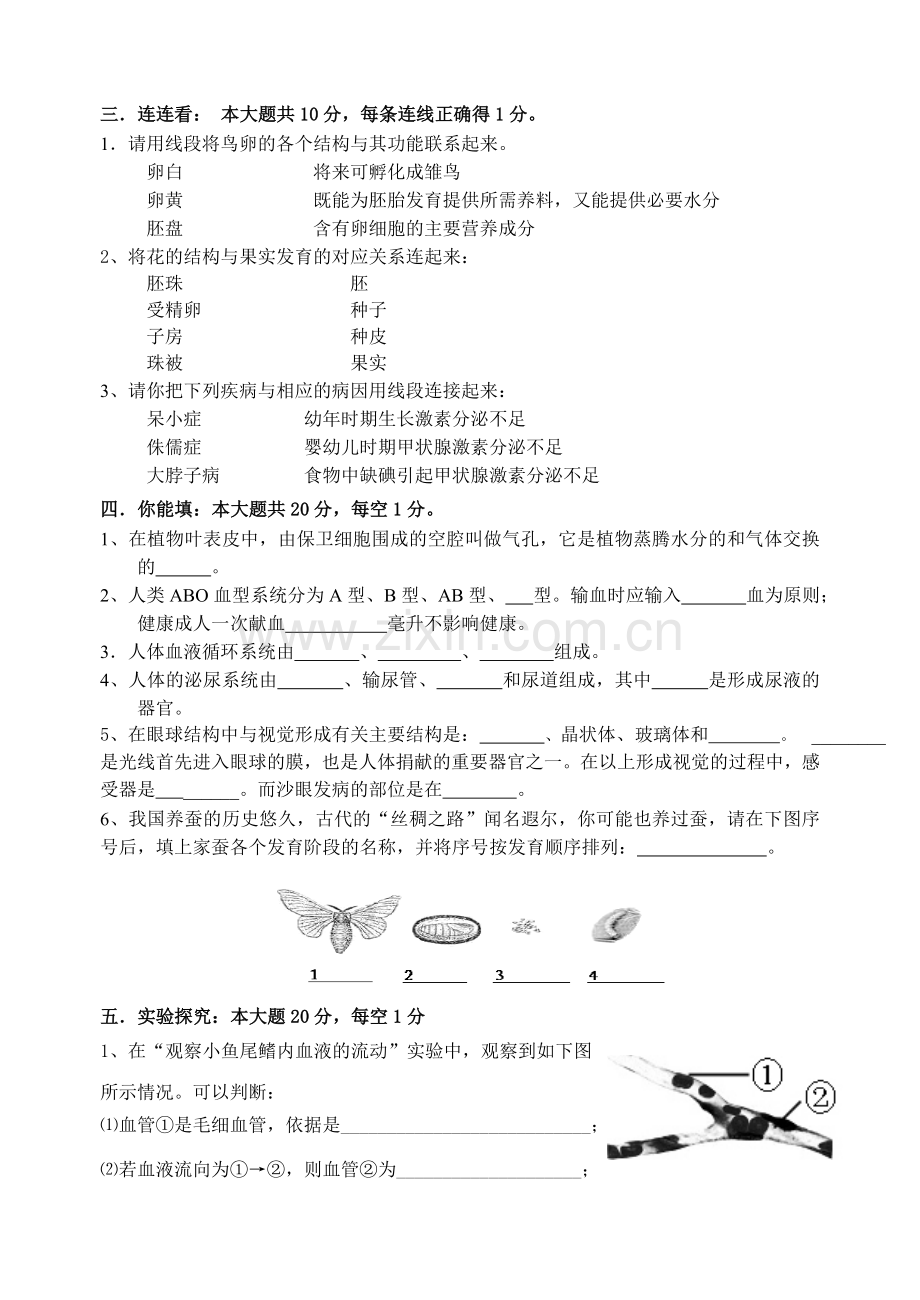 八年级上册期末测试卷.doc_第3页