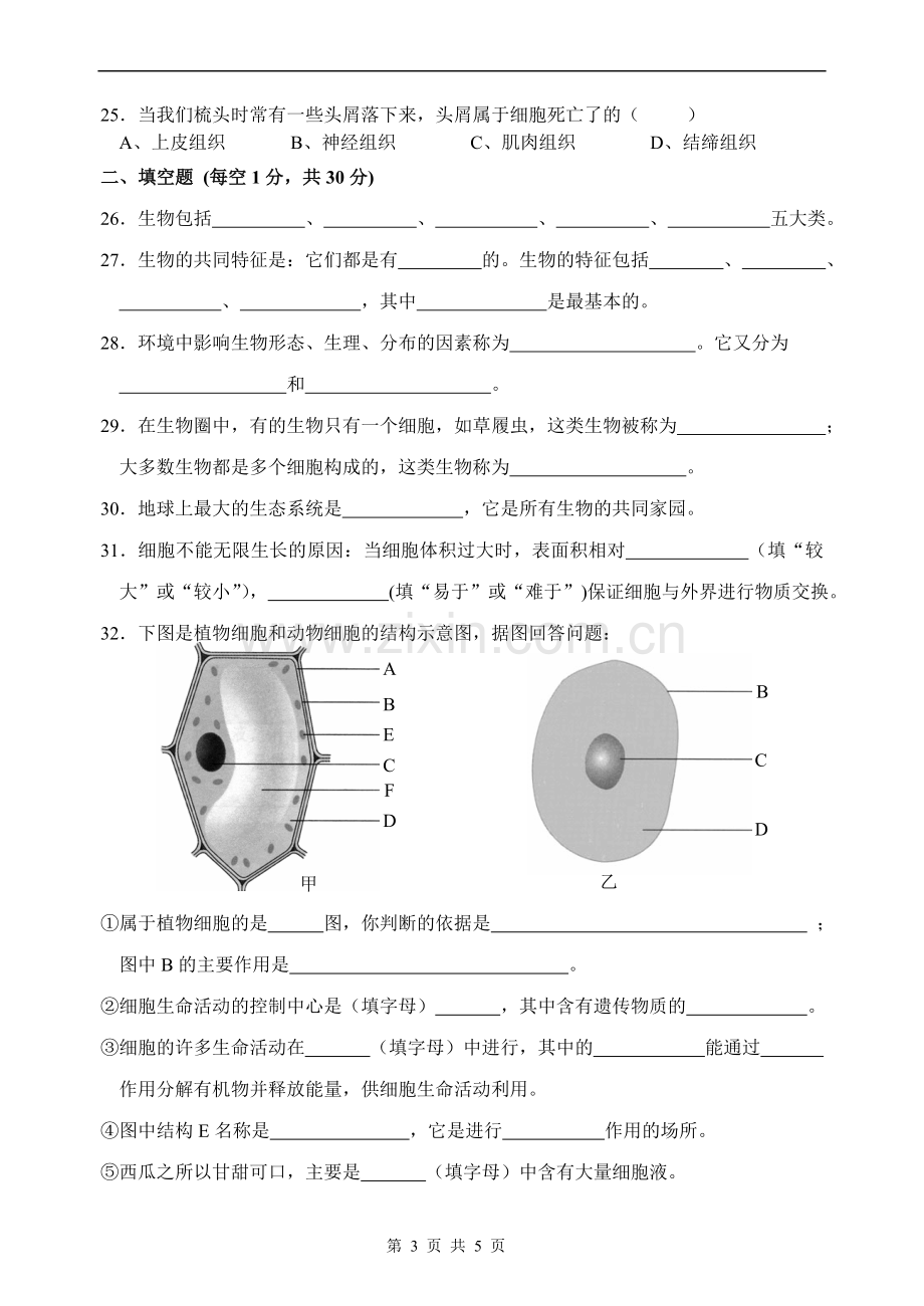 七上期中考试卷子.doc_第3页