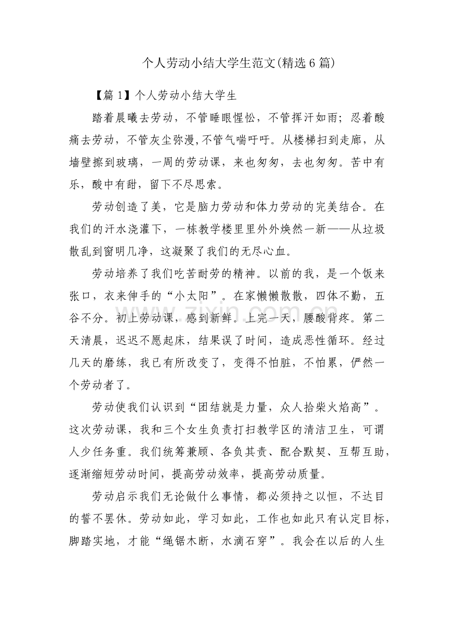 个人劳动小结大学生范文(精选6篇).pdf_第1页